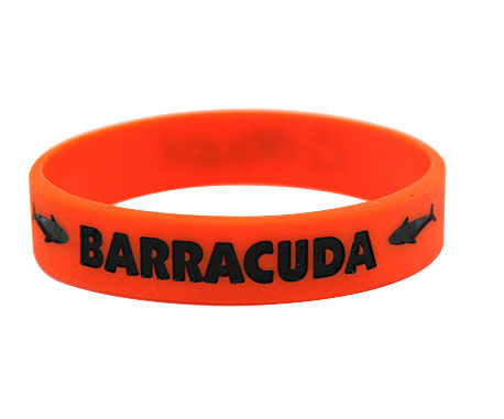 Promotional Silicone Wristband