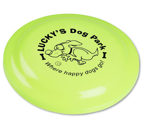 Custom Logo Plastic Frisbee